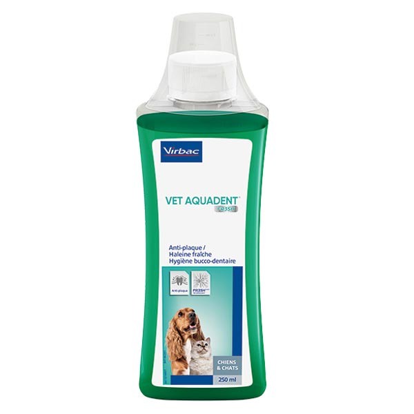 Vet chien discount
