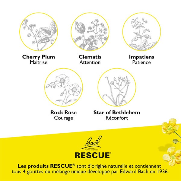 Rescue pet remedy Fleur de Bach : stress et anxieté