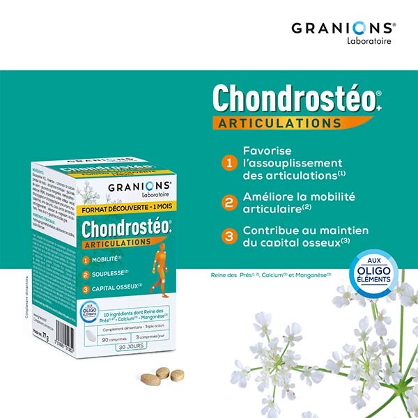 Chondrostero Discovery Format 90 tablets