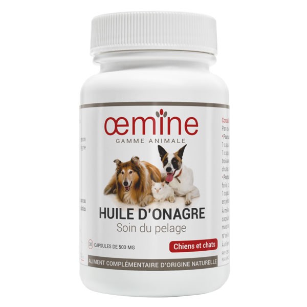 Evening primrose 2025 oil for cats