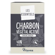 Lero Charbon Végétal Actif 45 gélules